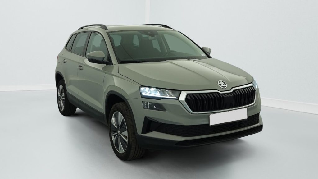 SKODA Karoq 2.0 TDI 116 ch SCR DSG7 Business - ref: 1-382712 - Photo 1