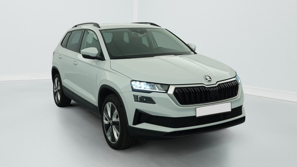 SKODA Karoq 2.0 TDI 116 ch SCR DSG7 Business - ref: 1-391309 - Photo 1