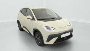 BYD Dolphin Surf en vente à marchand - ref: 1-378124
