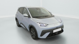 BYD Dolphin Surf en vente à marchand - ref: 1-378143