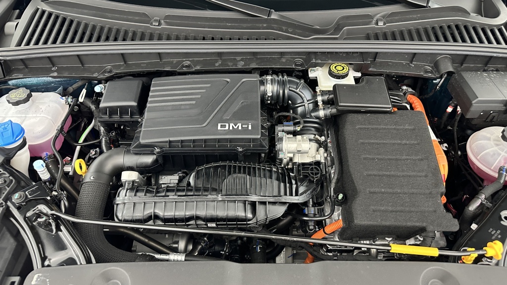 BYD Atto 2 1.5 DM-i PHEV 212ch Boost - ref: 8-GLI00063894 - Photo 11