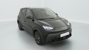 BYD Dolphin Surf en vente a marchand - ref: