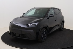 BYD Dolphin Surf en vente a marchand - ref: